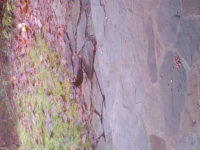 wp_20151228_004.jpg